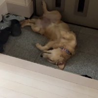 酔っ払いみたいな姿に！？