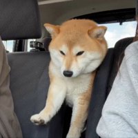 突っかえる