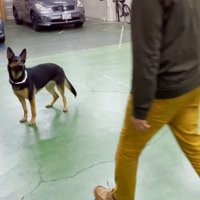 パパさんが近づくと…