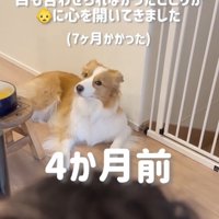 「あかちゃんこわい…」