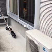 出かける飼い主さんを窓越しに見つめる犬
