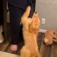 優しく受け止めるおじいちゃん