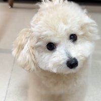 「なんの音？」