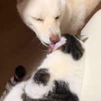 福丸くんと朔ちゃん