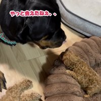 今ではすっかり仲良しコンビに