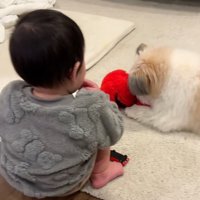 仲良しなふたり