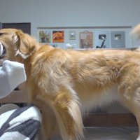 ママさんの手をガブガブ