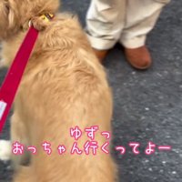 声を掛ける飼い主さん