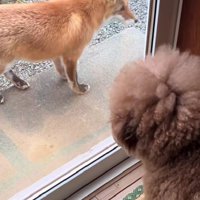 「じゃ、帰るね…」