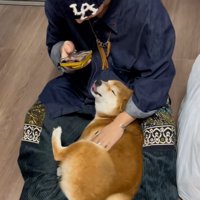 舌が出るコムギックスさん