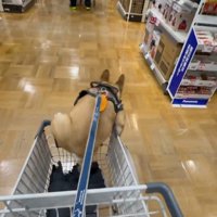 諦めずにトライ