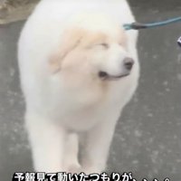 目がしょぼしょぼ…