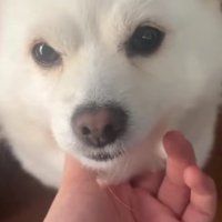 「会いたかったよ～」