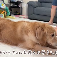おからちゃんが寄ってきた