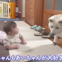 赤ちゃんが近付いてきた