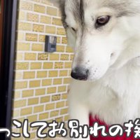 お別れの日…