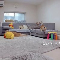 ハイハイがマイブーム♪