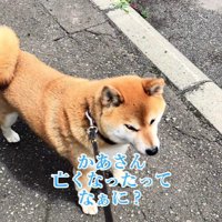 呆然とする朔ちゃん