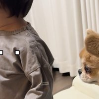 申し訳なさそうなお顔