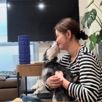 女性の口を舐める犬