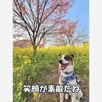 現在のひまわりちゃん