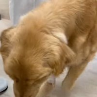 一生懸命そばへ…