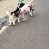 リードが絡まった時も素早く対応