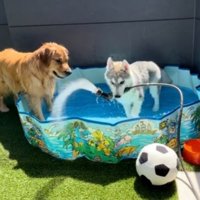 本当は仲良しな兄弟です♪