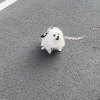 クセ