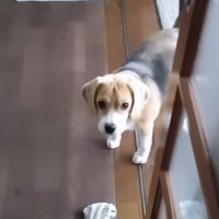「風邪ひいてない？」