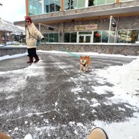 「パパ？」と探りながら近づいて…