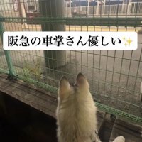 優しい世界線にほっこり