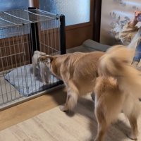 はじめましてのご挨拶♪