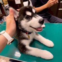 笑顔のレイルちゃん