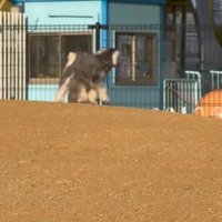 後ろをチラ見♪