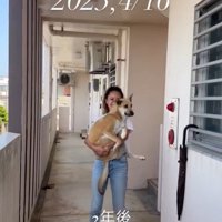 Jayくんのビフォーアフター5