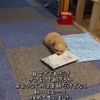 みらいちゃんが元気になるまで9