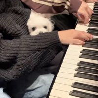 止まらない袖への噛み