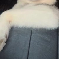 ロイちゃんとドライブ