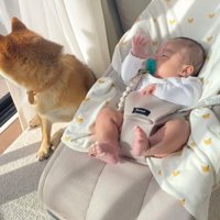 危ないものはないかな？