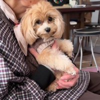 おばあちゃんっ子になった♡