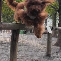軽々とジャンプ！！