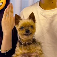 「結婚おめでとう！」