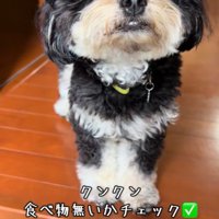 「食べ物あるかな…」と匂いをチェック