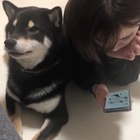 お姉ちゃんにぴとっ♡