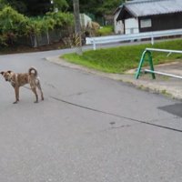 気遣ってくれるりゅうさん