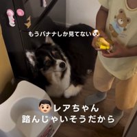 優しい息子さん