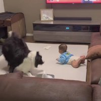 赤ちゃんが突然叫んだ！！