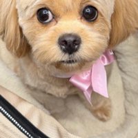 カットしてもらうと…