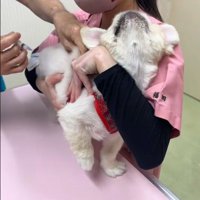 すごく嫌がっています！